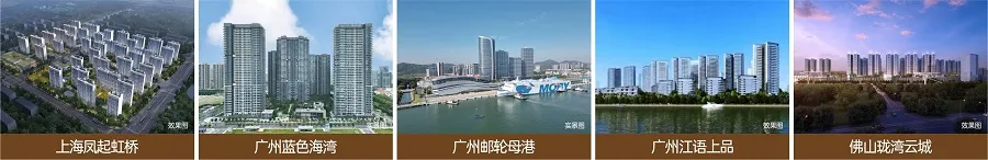中交城投开发项目展示